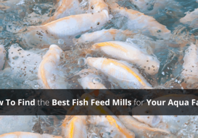 Best Fish Feed Mills