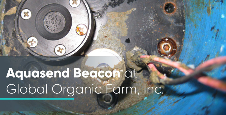 Aquasend Beacon™ at Global Organic Farm, Inc.