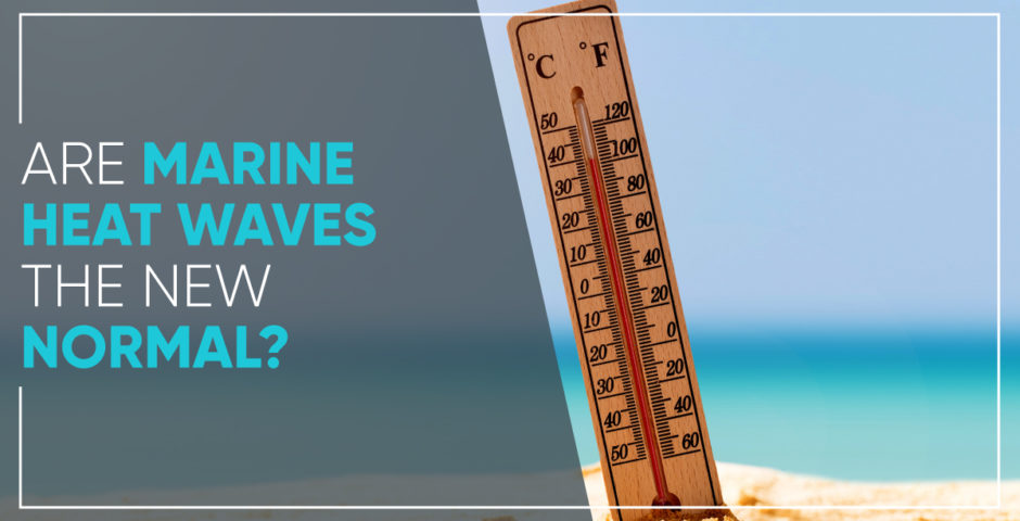 Are Marine Heat Waves the New Normal?